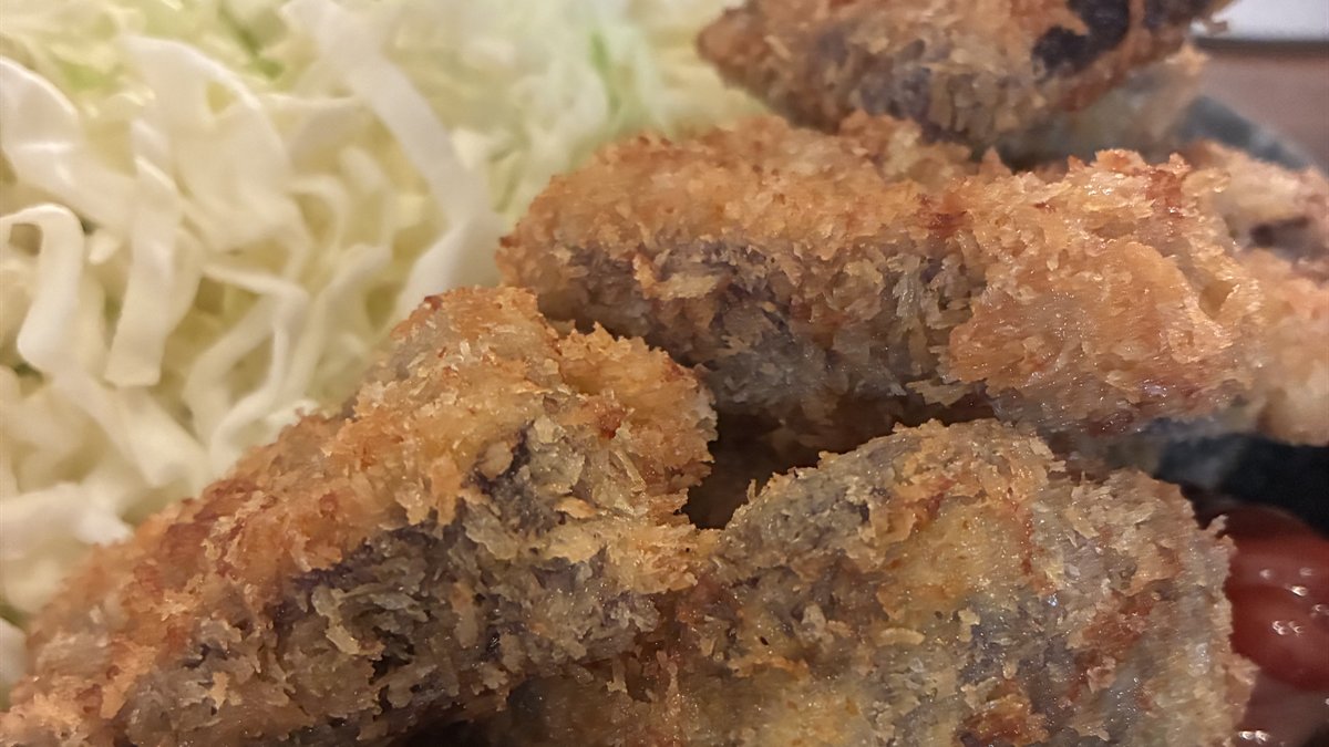 鹿肉のフライとキャベツの千切りを盛った皿