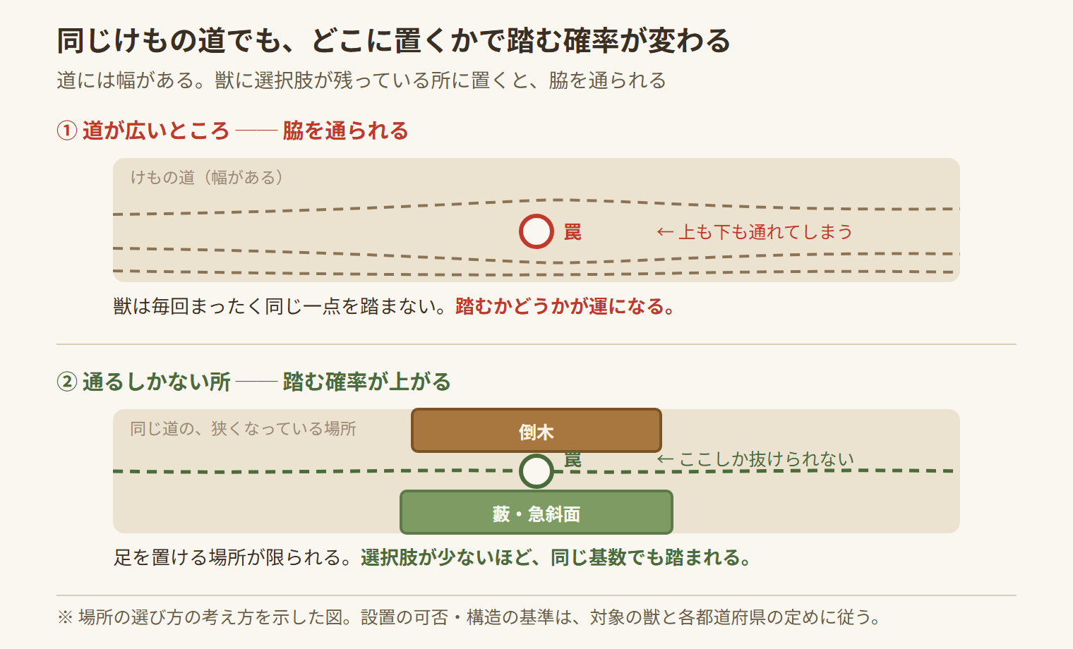 けもの道のどこに罠を置くかの図。道が広い所では脇を通られ、倒木と藪で狭くなっている所では通り道が一本に絞られる